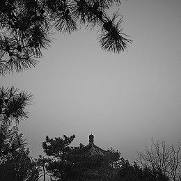 微软收购动视暴雪 尚有多个国家未做出答复